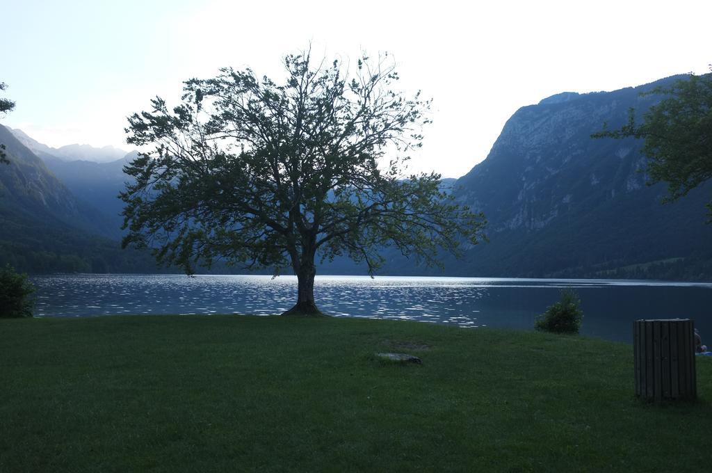Apartment Brumec Bohinj Luaran gambar